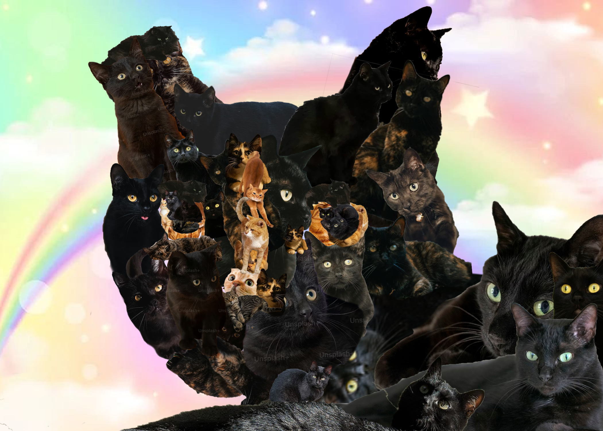 collage of cat using many cats